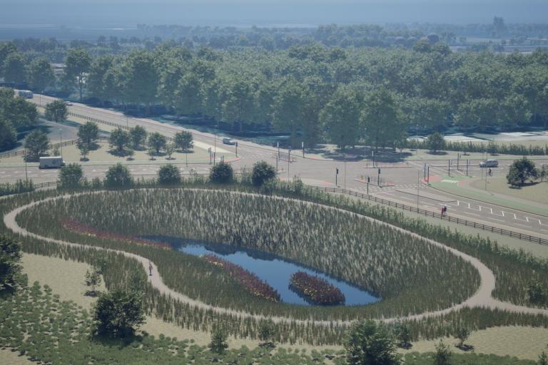Peatland restoration in New Carrington in Trafford