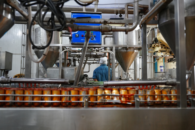 Process line in a manufacturing plant