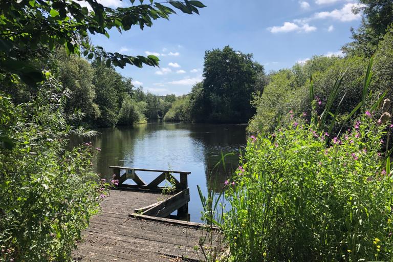 Sunny view of the lake in Trafford Ecology Park with board walk