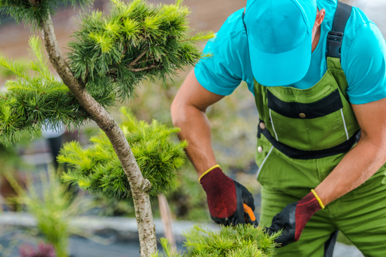 person in teal blue top and cap trimming a tree with tools